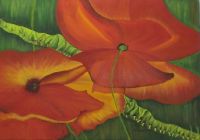 Mohnblumen (�lbild)