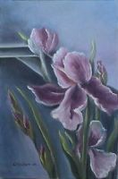 Iris (�lbild)