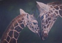 Giraffen