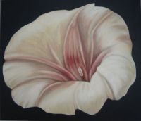 Wicke (�lbild)