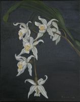 Orchidis for everyone (�lbild)