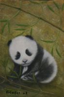 Pandajunges